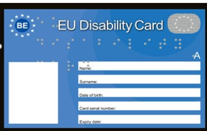 carta della disabilità